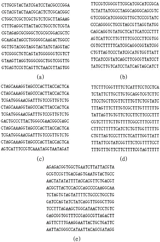 Image Encryption Method Based on rt-DNA Cellular Automata