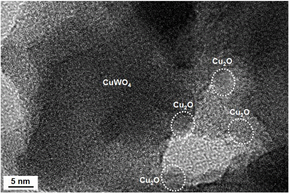 Photocatalytic oil-water separation net film, preparation method and application thereof