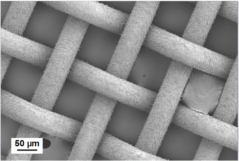 Photocatalytic oil-water separation net film, preparation method and application thereof