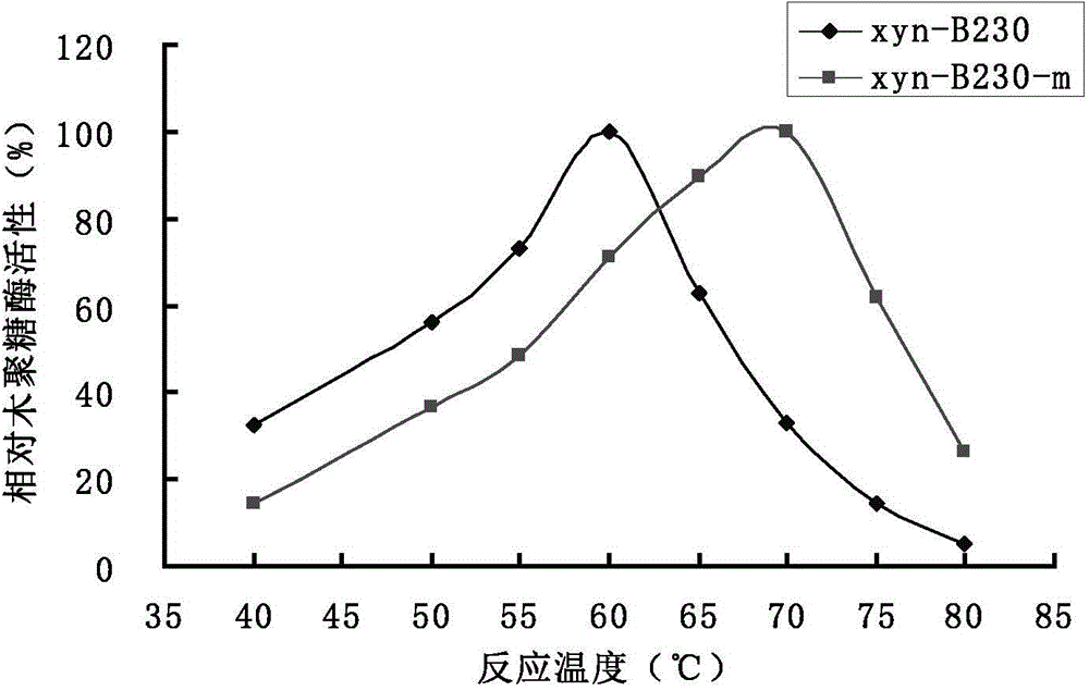 A kind of thermostability-improved alkaline xylanase and its encoding gene and application