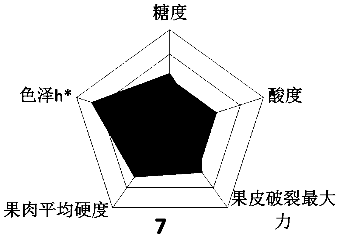 Multiple apple quality indexes-based visualized evaluation method