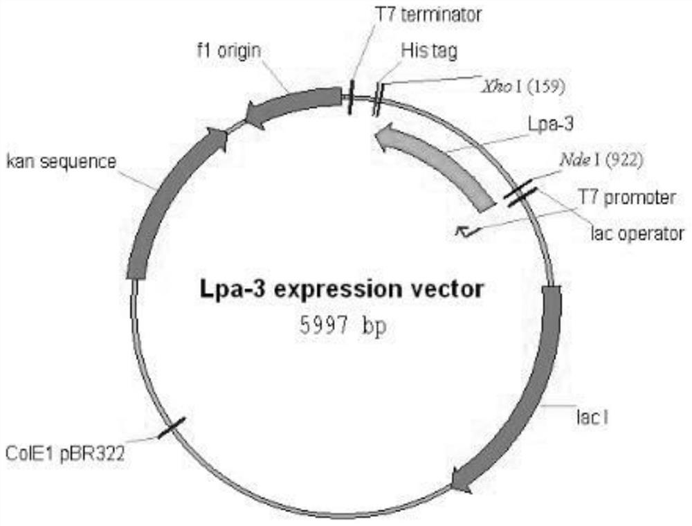 A kind of enzyme for the preparation of antidepressant drug duloxetine intermediate, biocatalysis method and application thereof