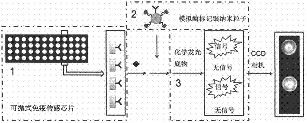 High-sensitivity chemiluminescence immune assay method based on analogue enzyme labeled silver nanoparticles