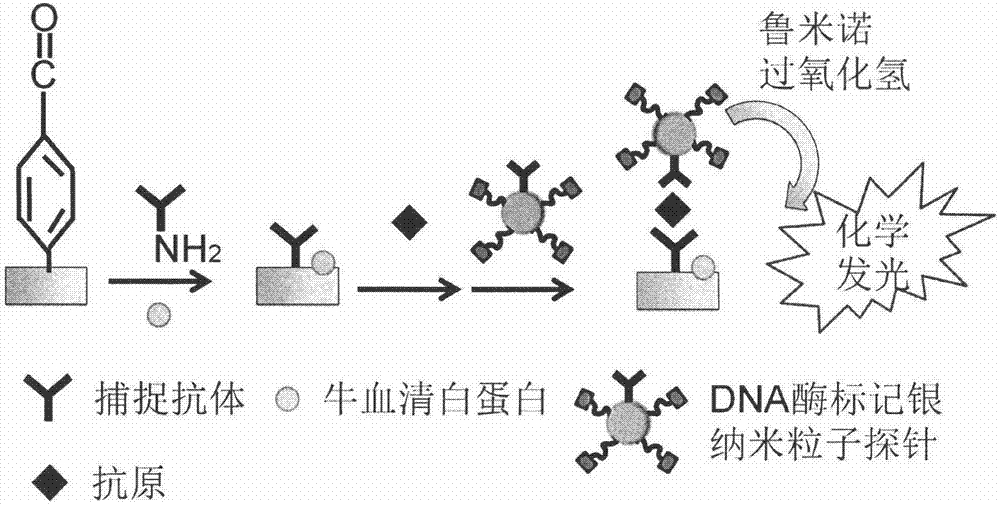 High-sensitivity chemiluminescence immune assay method based on analogue enzyme labeled silver nanoparticles