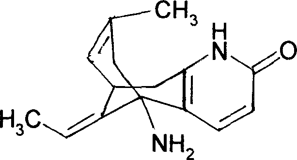 Slow-release small pill prparation containing huperzine A and method for making same