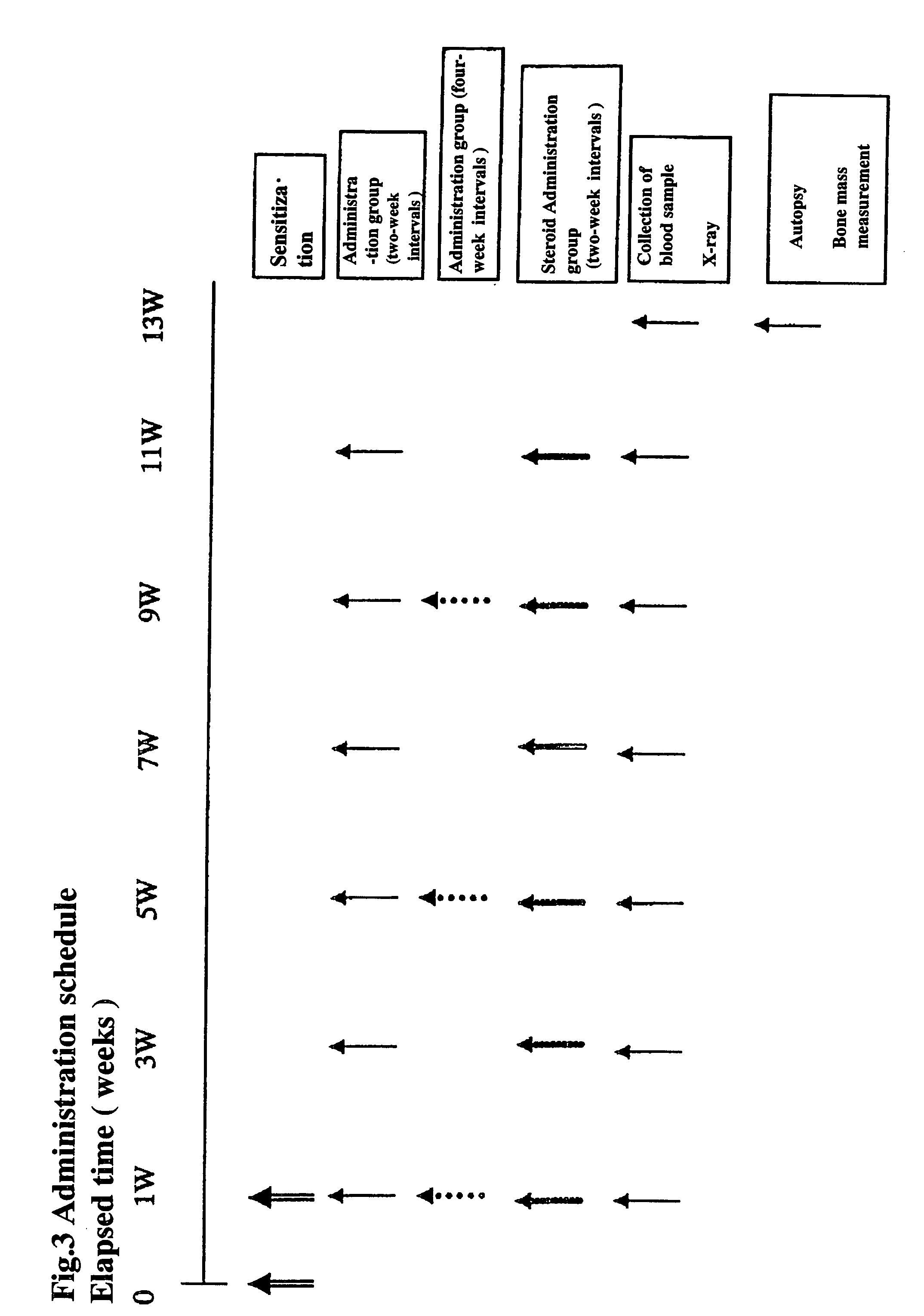 Decoy composition for treating and preventing inflammatory disease