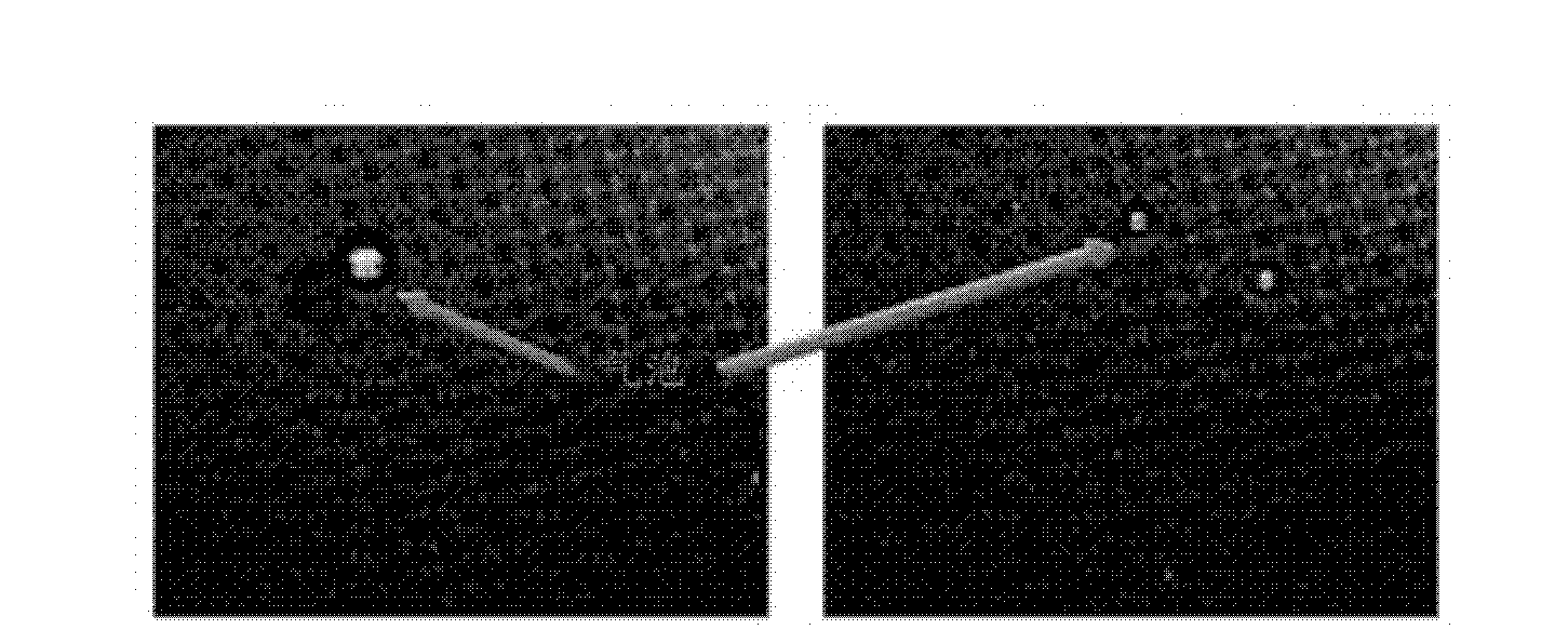 Optical adhesive film, apparatus including the same, and optical adhesive composition