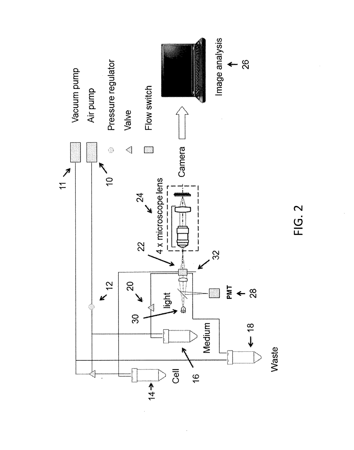 Method and apparatus for particle sorting