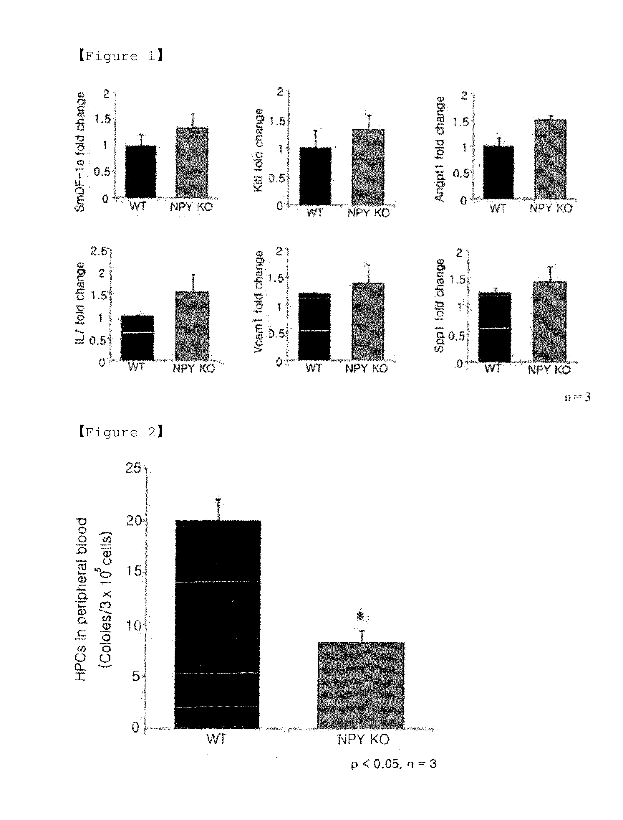 Pharmaceutical Composition for Preventing or Treating Osteoporosis Which Comprises Neuropeptide Y as Active Ingredient