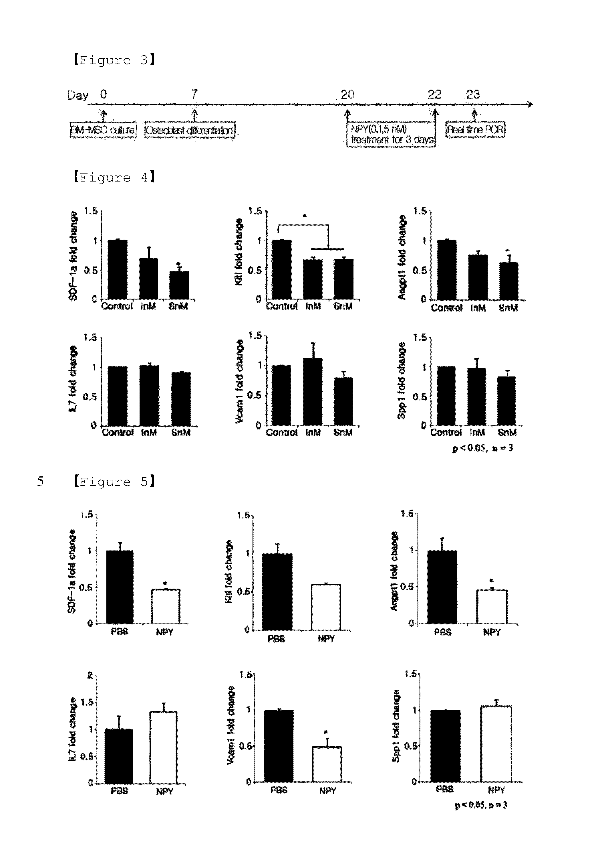 Pharmaceutical Composition for Preventing or Treating Osteoporosis Which Comprises Neuropeptide Y as Active Ingredient