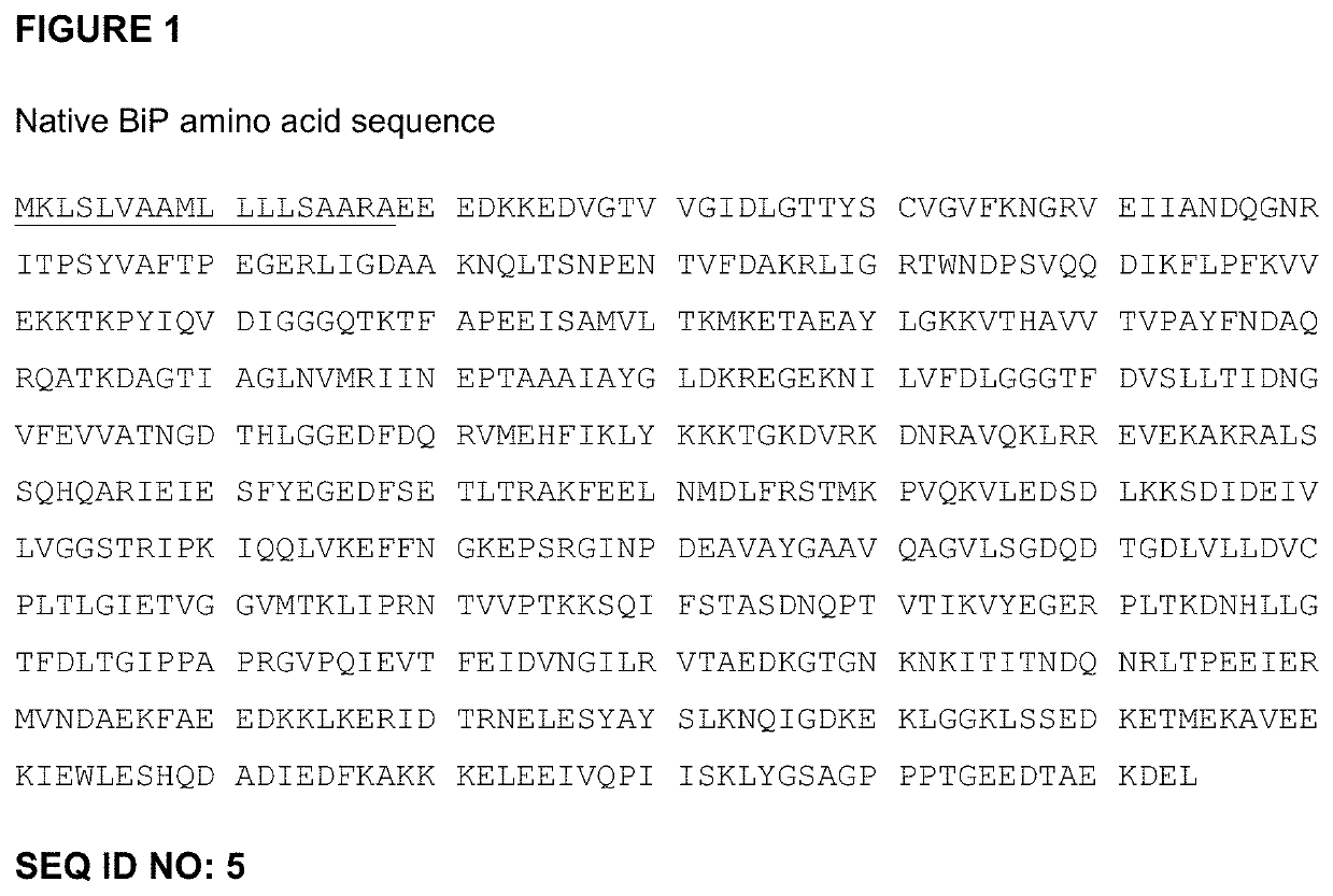 Protein with anti-inflammatory properties