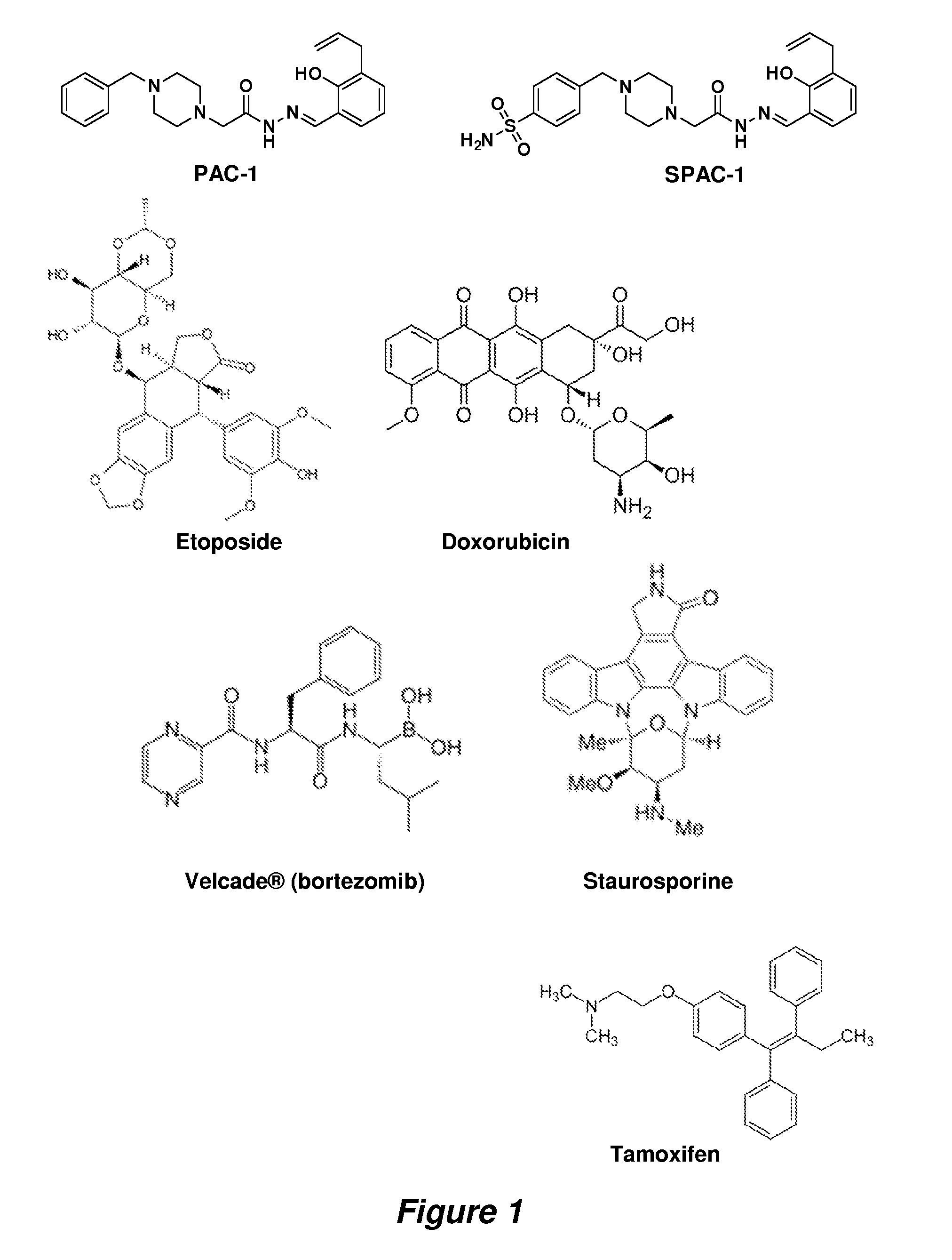 Procaspase 3 activation by combination therapy