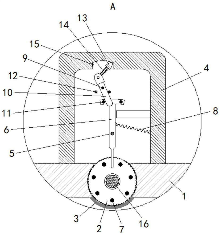 Injection molding machine detection device capable of performing real-time detection