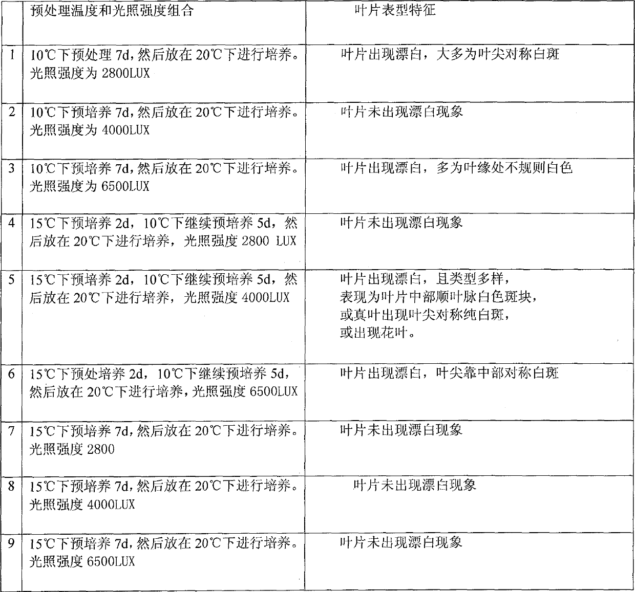 Virus-induced high-efficiency silencing system of dianthus phytoene dehydrogenase gene