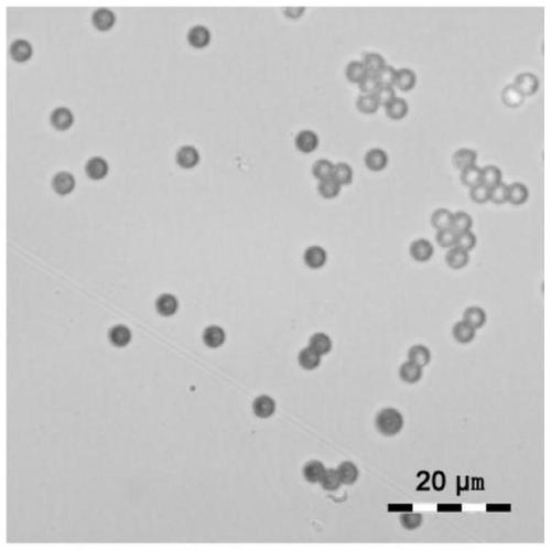 Quantum-dot fluorescent encoded microspheres based on fluorescence resonance energy transfer analysis and preparation method thereof