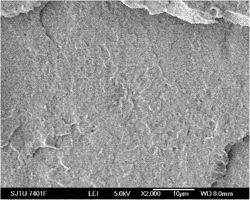 Method for preparing biodegradable polylactic acid foaming material