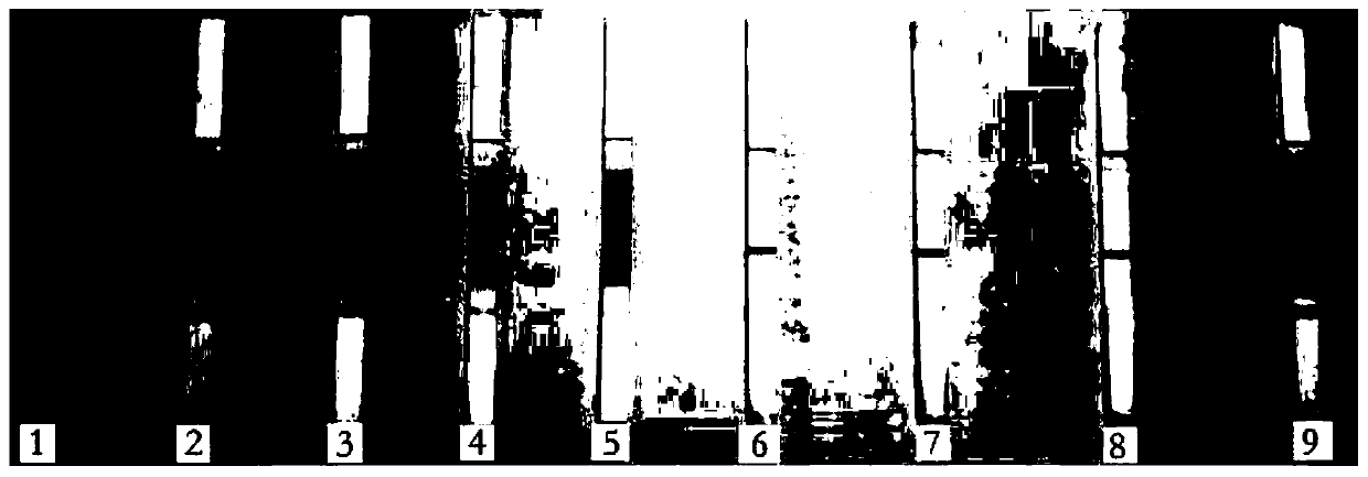 Canine interferon mutant recombinant fusion protein as well as preparation method and application thereof