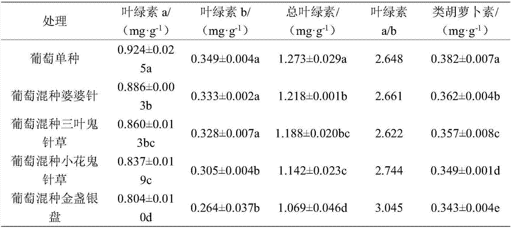 Planting method for utilizing mixed planting to achieve stable yield of grapes and remarkably lower cadmium content of grapes