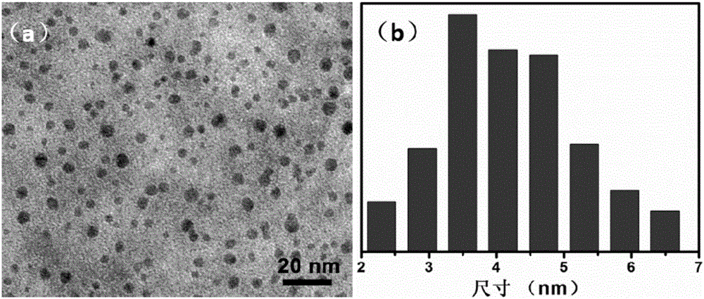 Amphiphilic carbon dot with room-temperature phosphorescent property and synthesizing method and application thereof