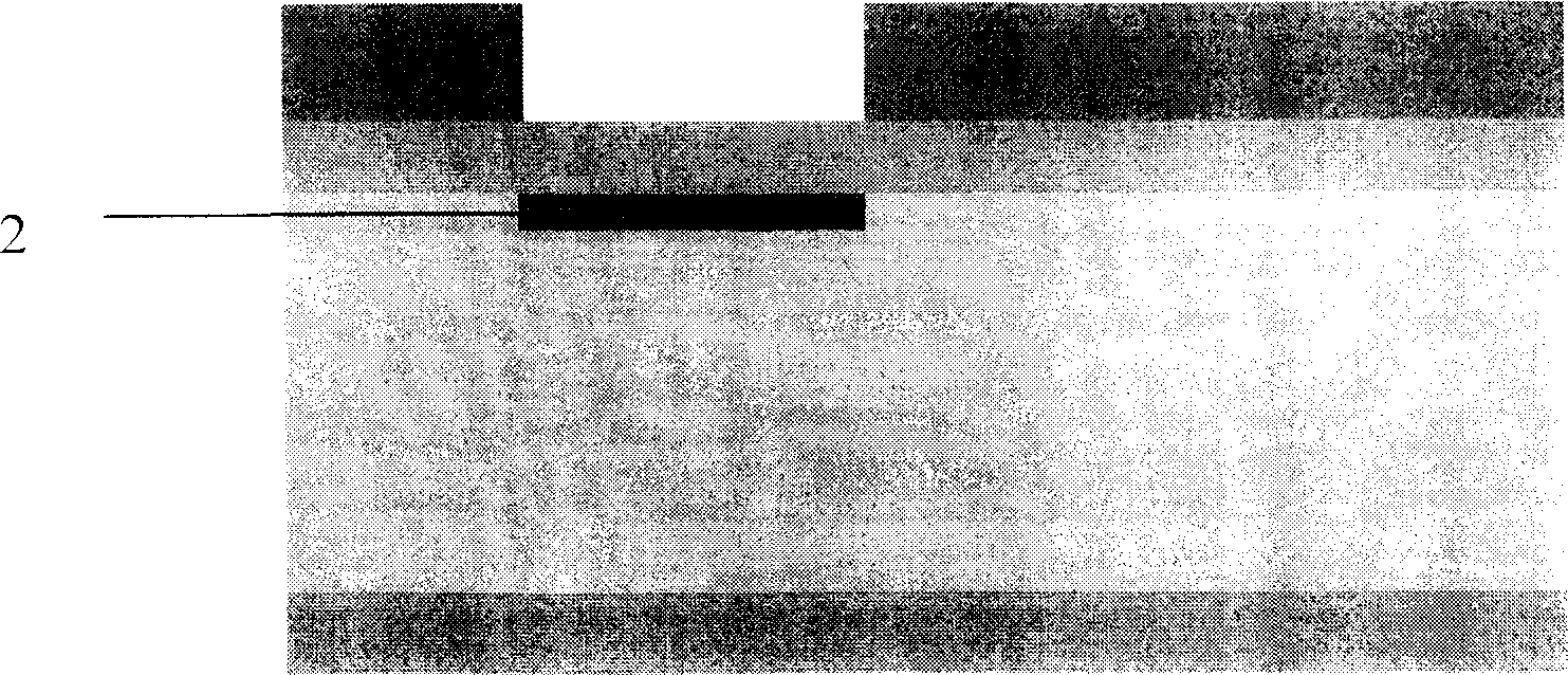 NEMS piezoresistive pressure sensor chip and its making process