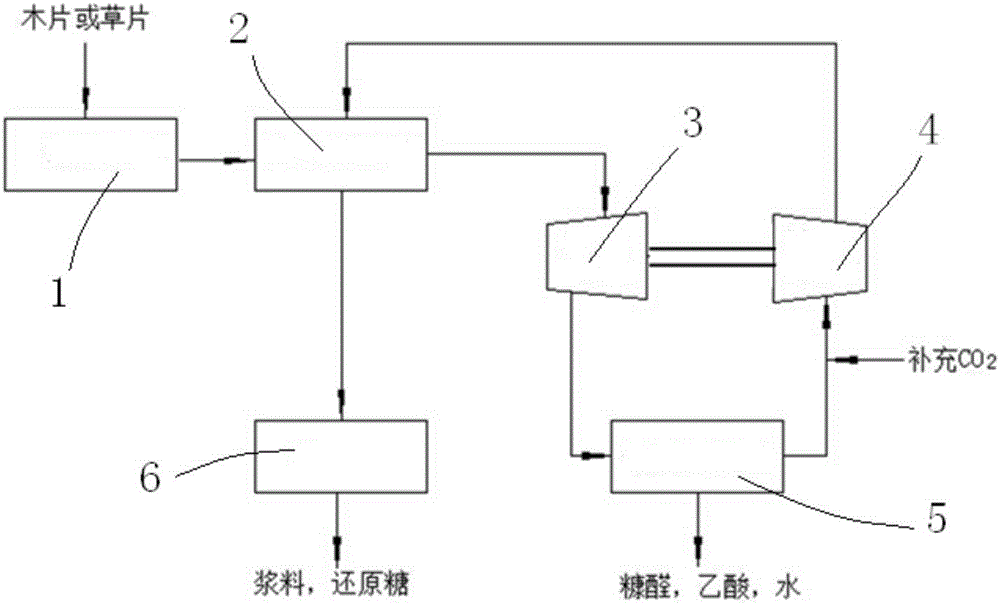 Method and device for hydrolysis pulping in transcritical CO2 reaction system