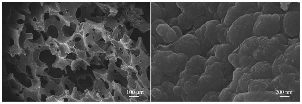 Photo-thermal conversion polymer solar energy absorbing material as well as preparation method and application thereof