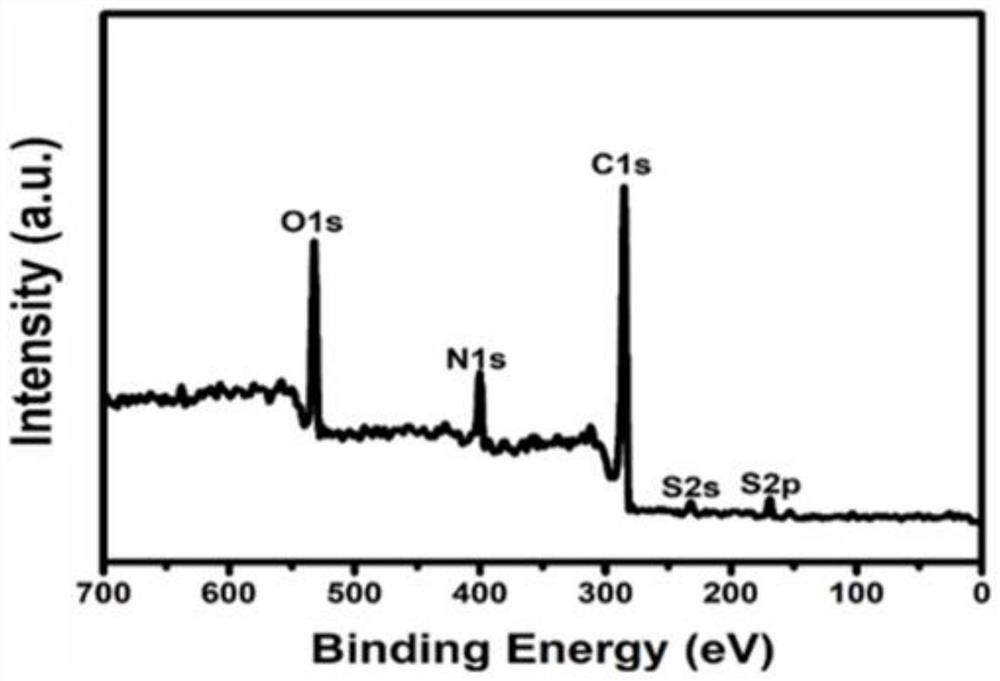 Photo-thermal conversion polymer solar energy absorbing material as well as preparation method and application thereof