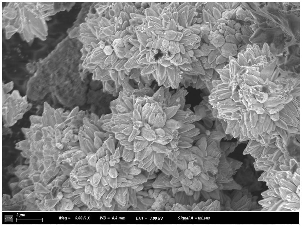 Method for preparing flower-like silicon dioxide-based composite photocatalytic antibacterial water-based interior wall paint