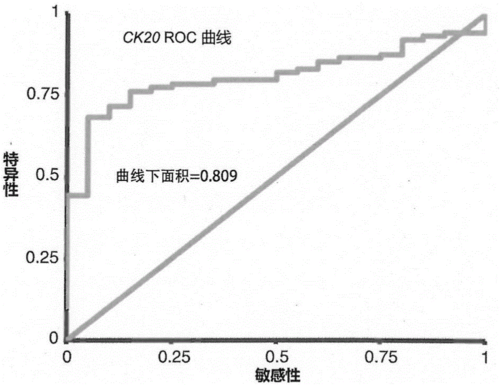 Enriching and analyzing method of circulating tumor cells of colorectal cancer