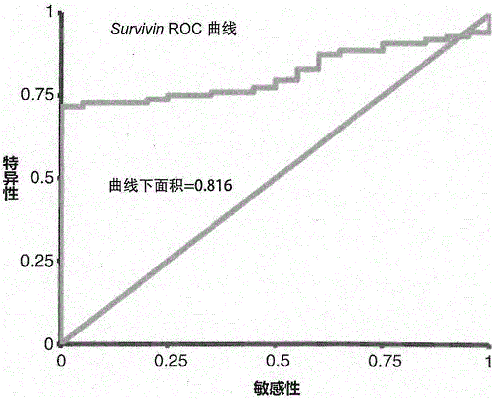 Enriching and analyzing method of circulating tumor cells of colorectal cancer