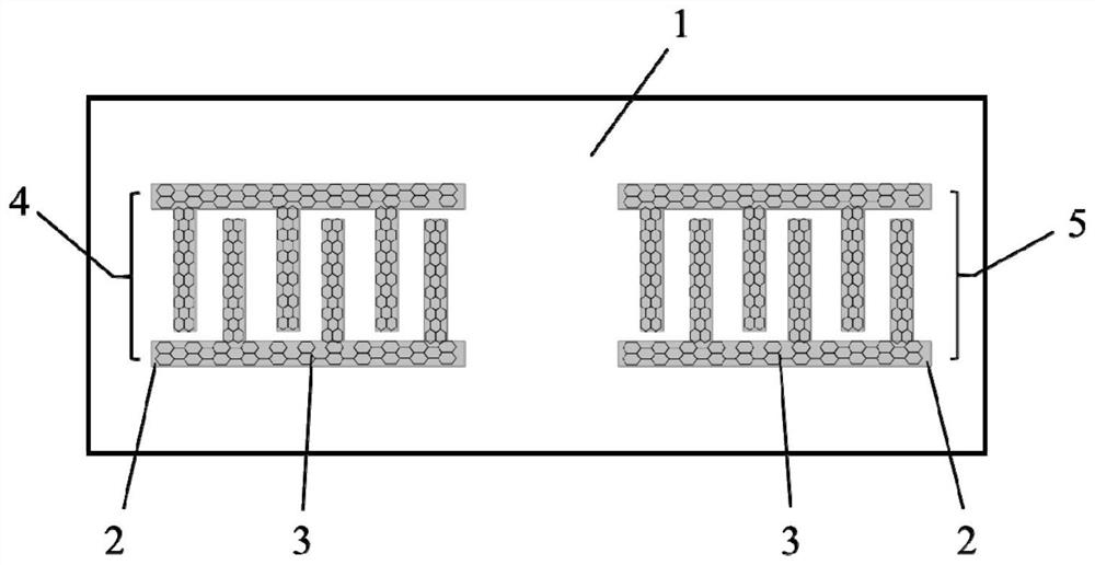 Graphene surface acoustic wave filter device and preparation method thereof