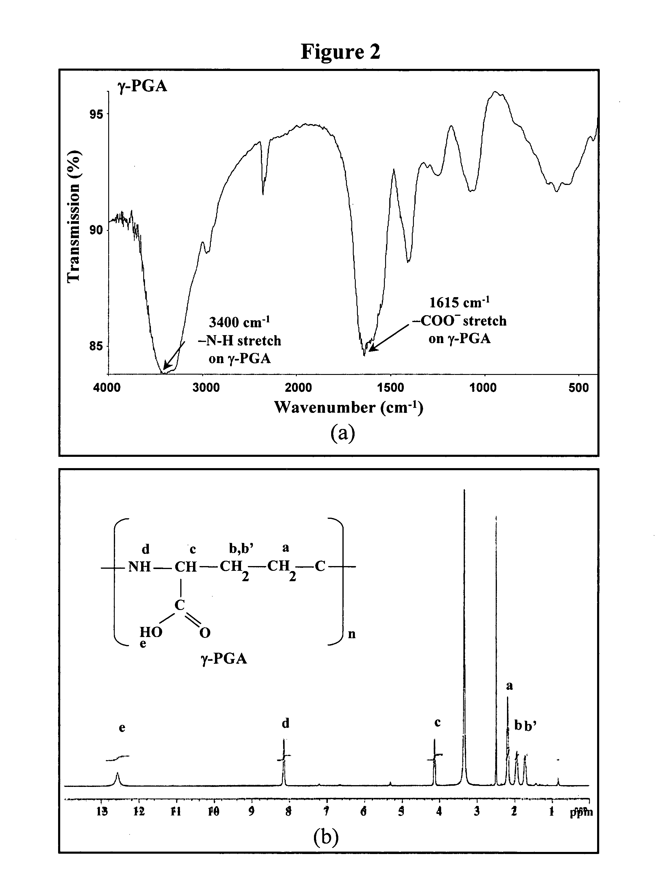 Nanoparticles for paracellular drug delivery