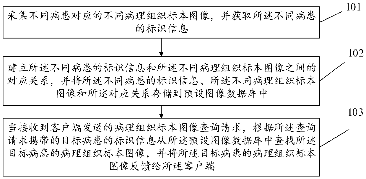 Image processing method and device, storage medium and computer equipment