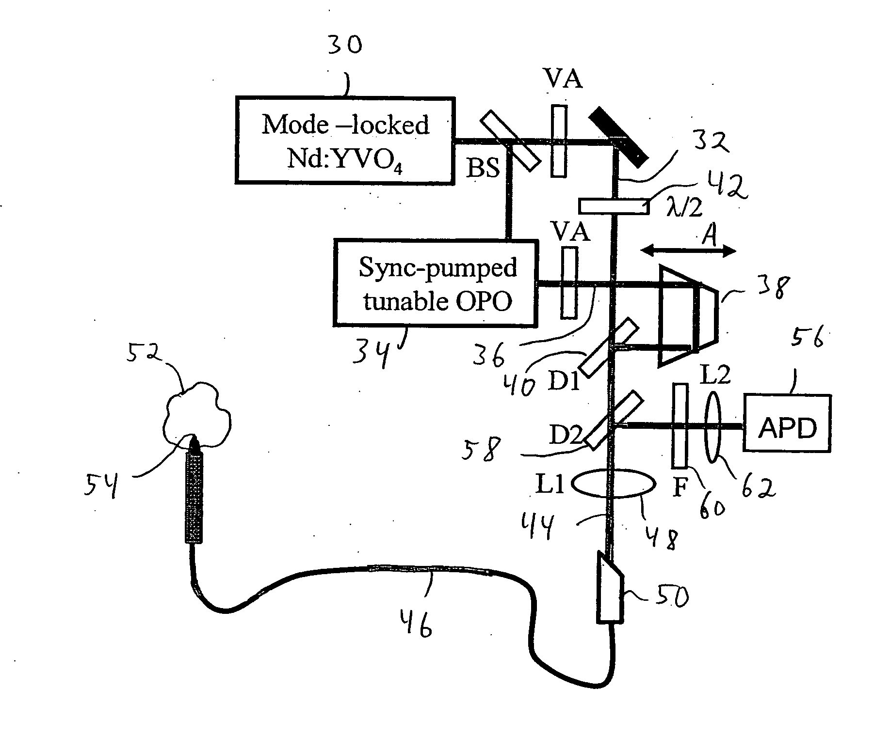 System and method for coherent anti-stokes raman scattering endoscopy