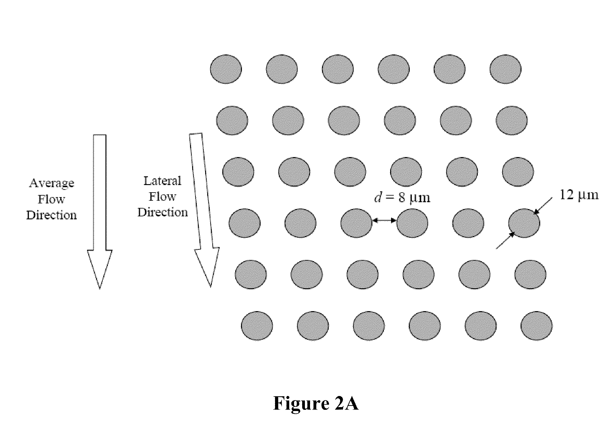 Diagnosis of fetal abnormalities using polymorphisms including short tandem repeats