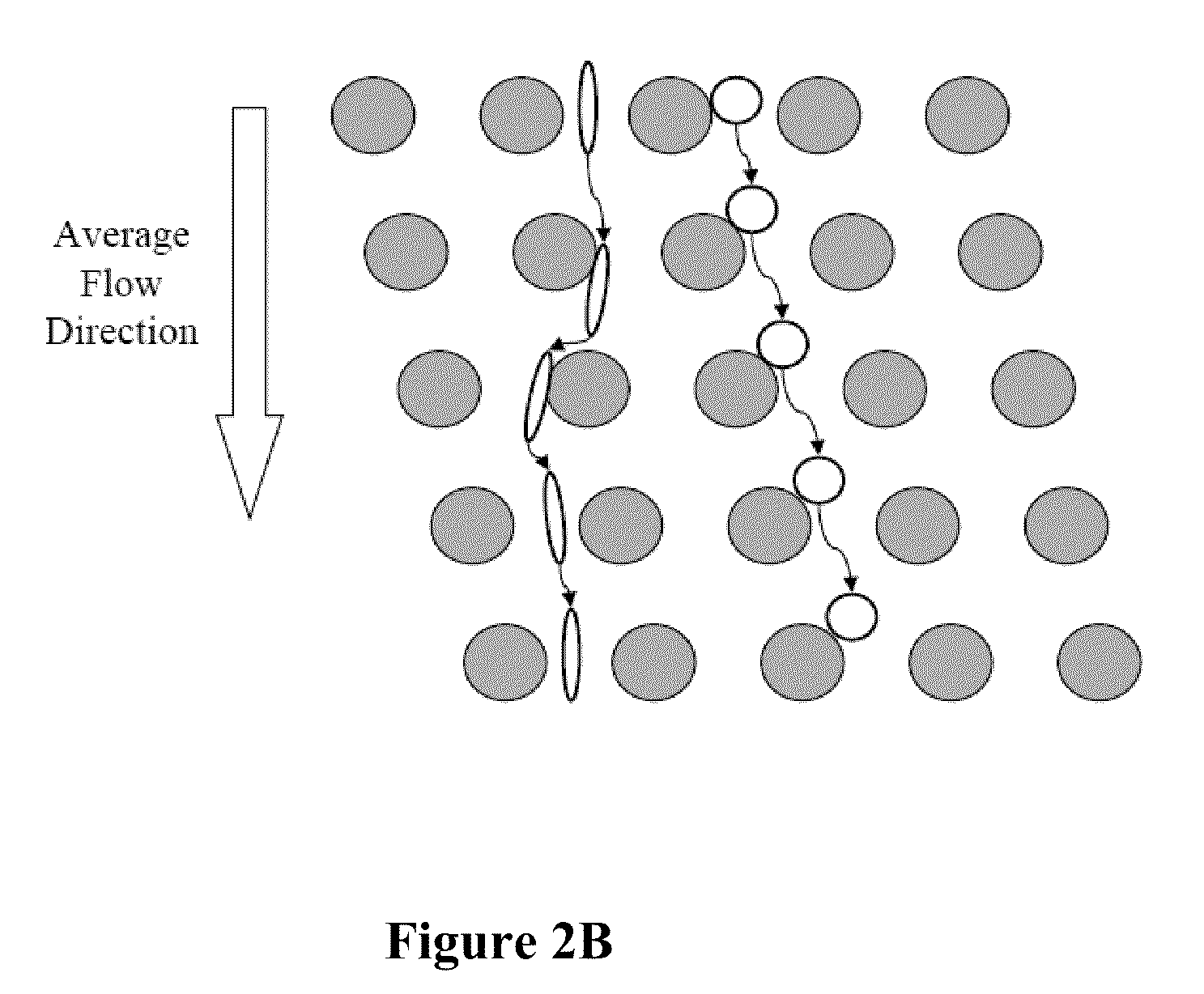 Diagnosis of fetal abnormalities using polymorphisms including short tandem repeats