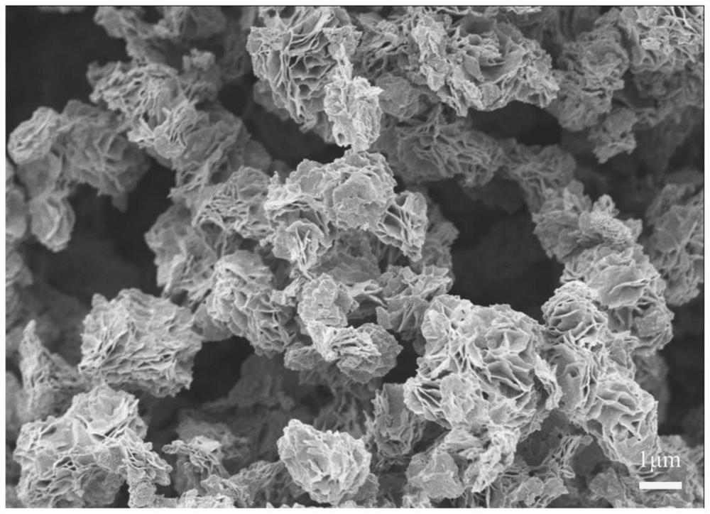 Aqueous humor analysis method based on titanium oxide nano material matrix