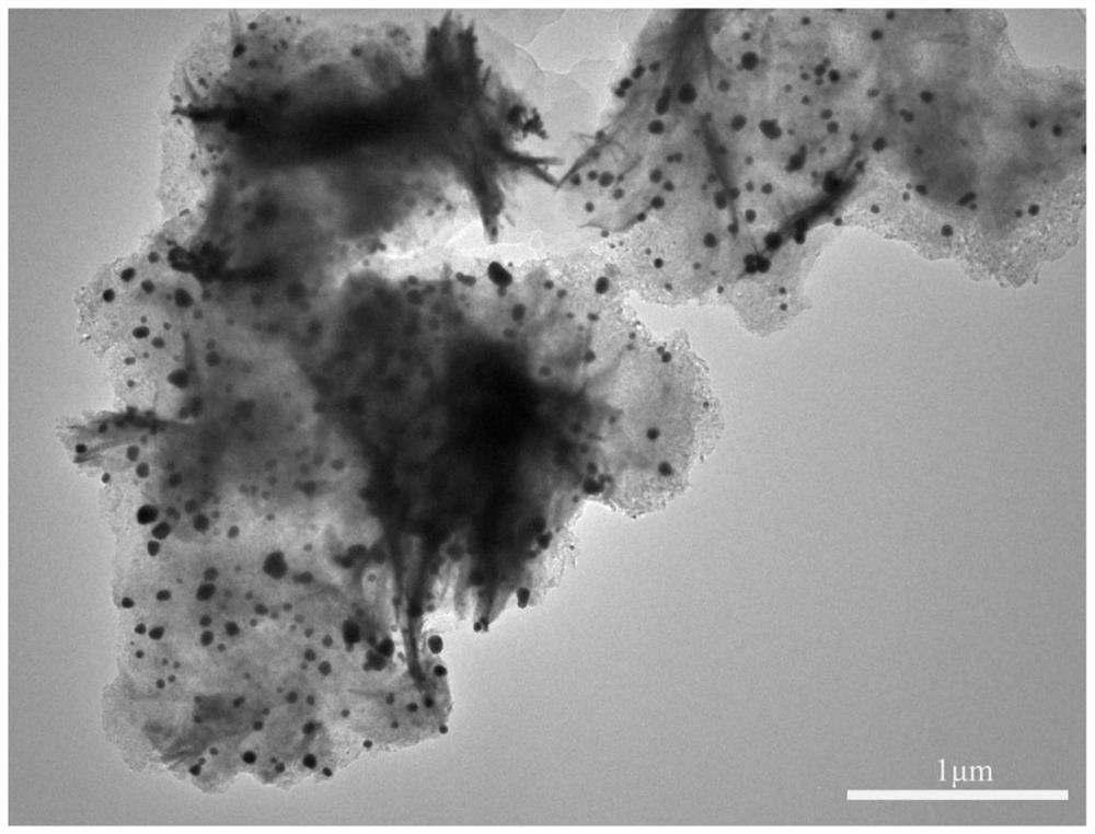 Aqueous humor analysis method based on titanium oxide nano material matrix