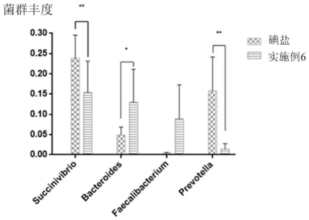 Bamboo salt composition and application thereof