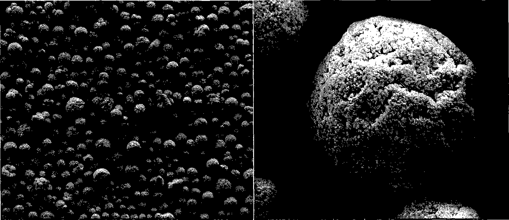 Method for preparing ZSM-5 zeolite by in situ crystallization