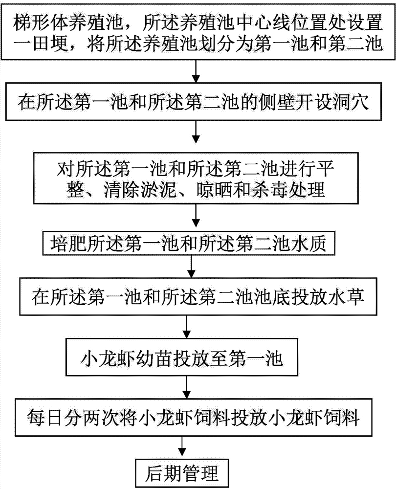 Culture method for increasing survival rate of crays