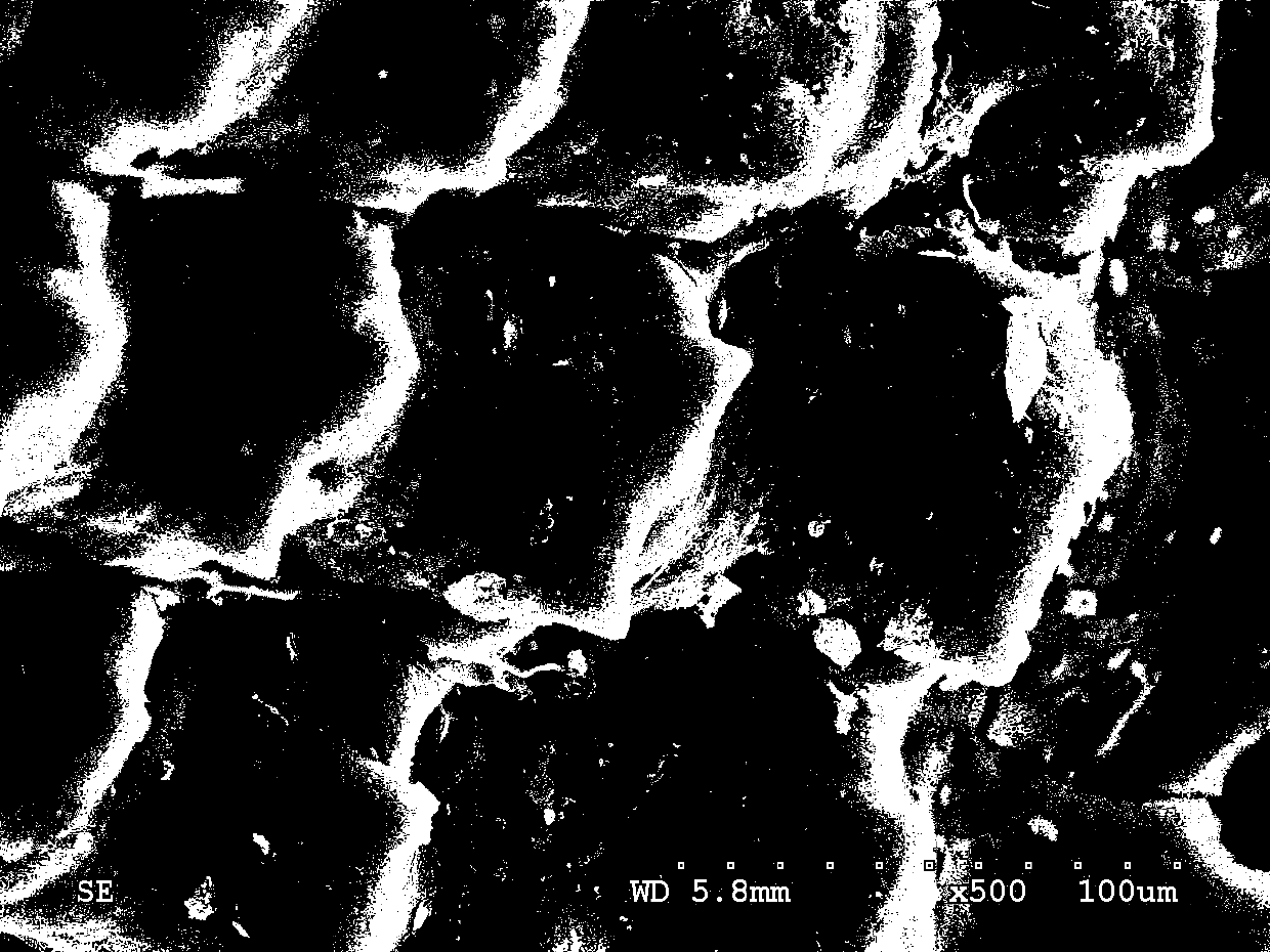 Method for preparing rice hull ash active carbon from solid-state co-fermentation rice hull