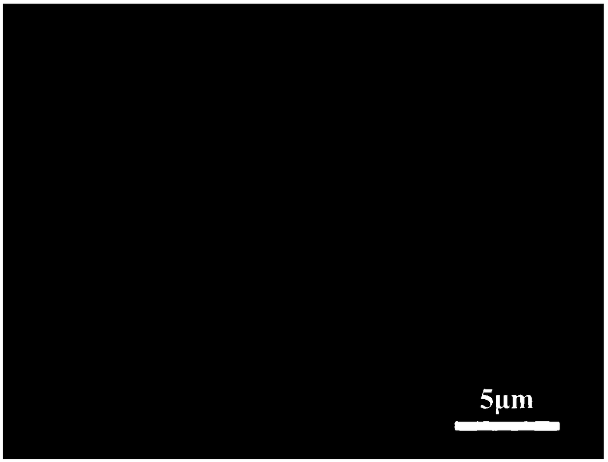 Preparation method of hydrophilic poly(vinylidene fluoride) microfiltration membrane