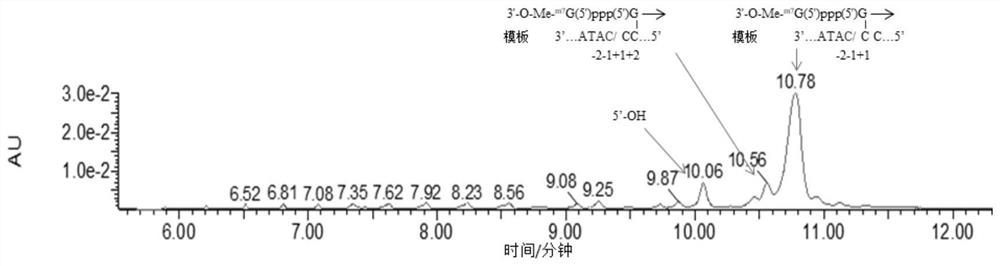 Synthesis method of capping RNA and capping RNA transcription reaction solution