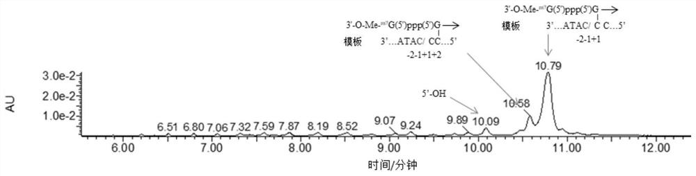 Synthesis method of capping RNA and capping RNA transcription reaction solution