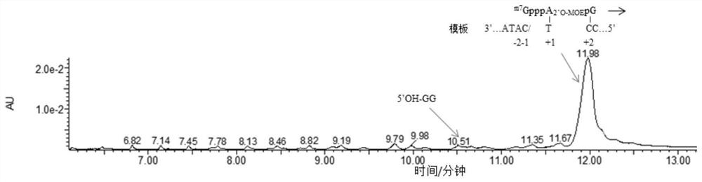 Synthesis method of capping RNA and capping RNA transcription reaction solution