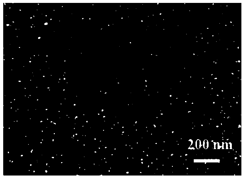 Cobalt-manganese hydrotalcite-supported nanometer gold catalyst and preparation method thereof