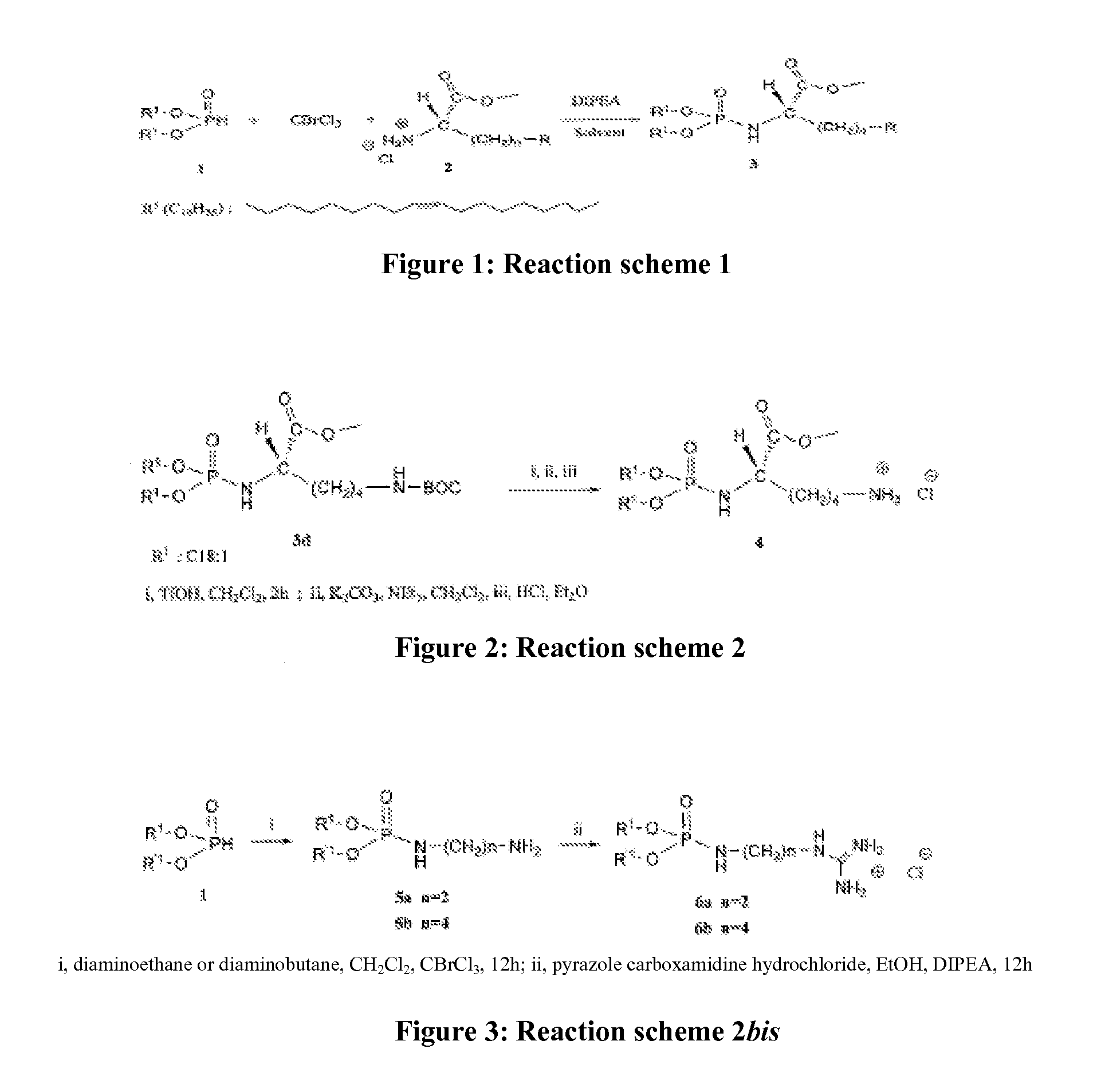 Novel lipophilic compositions and uses thereof