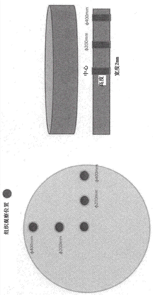 Tantalum sputtering target, and production method therefor