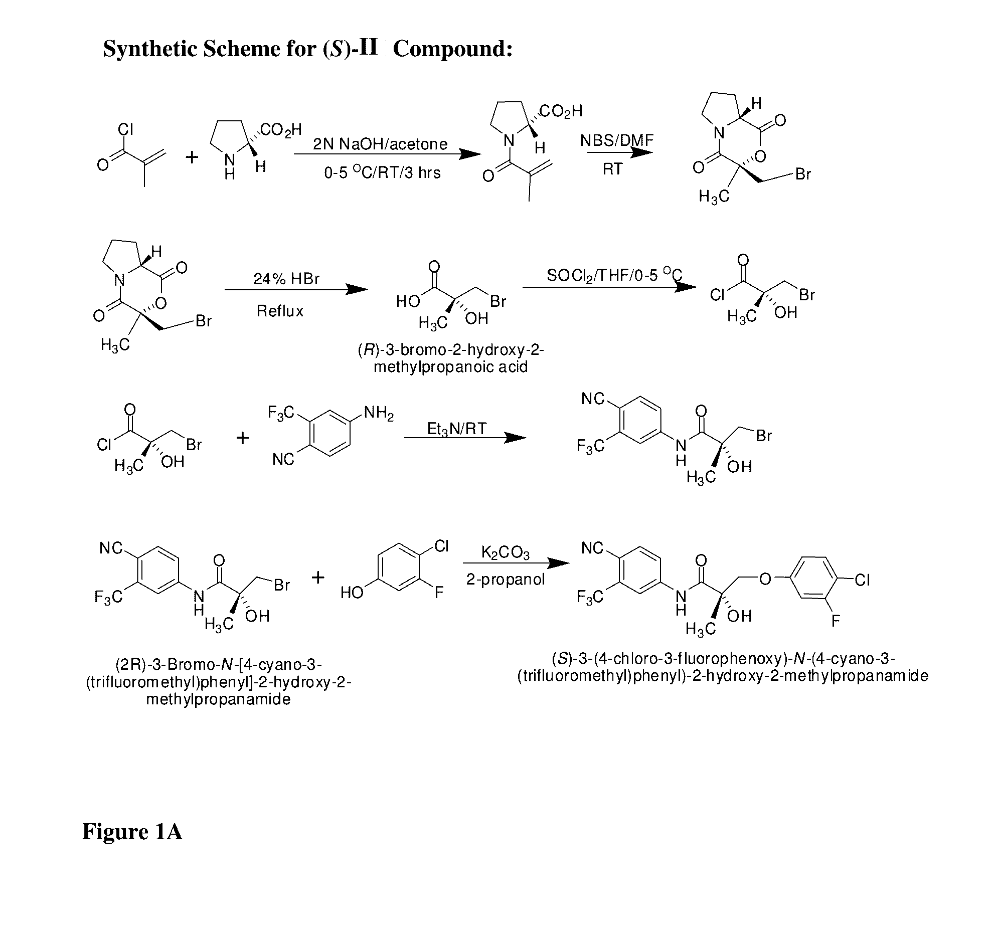 Sarms and method of use thereof